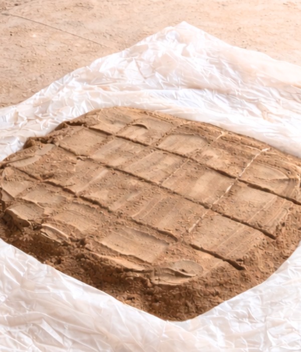 Why Choose Mandaksh Exports